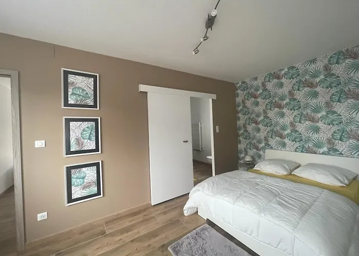 2 Pieces Avec Terrasse * Lingolsheim